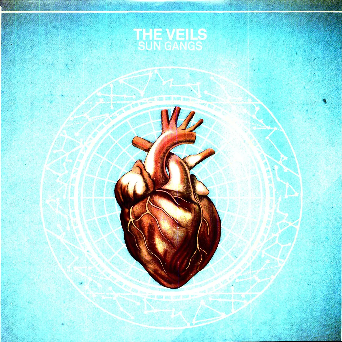 The Veils Sun Gangs Vinyl Record