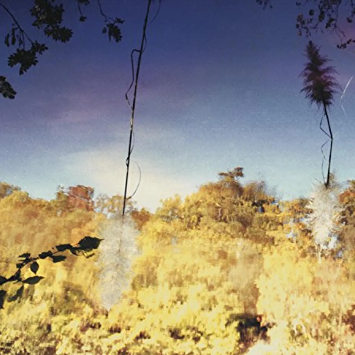 Disco Anti Napoleon ASCENT CD