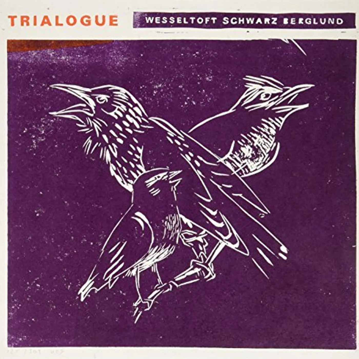 Bugge Wesseltoft Trialogue Vinyl Record