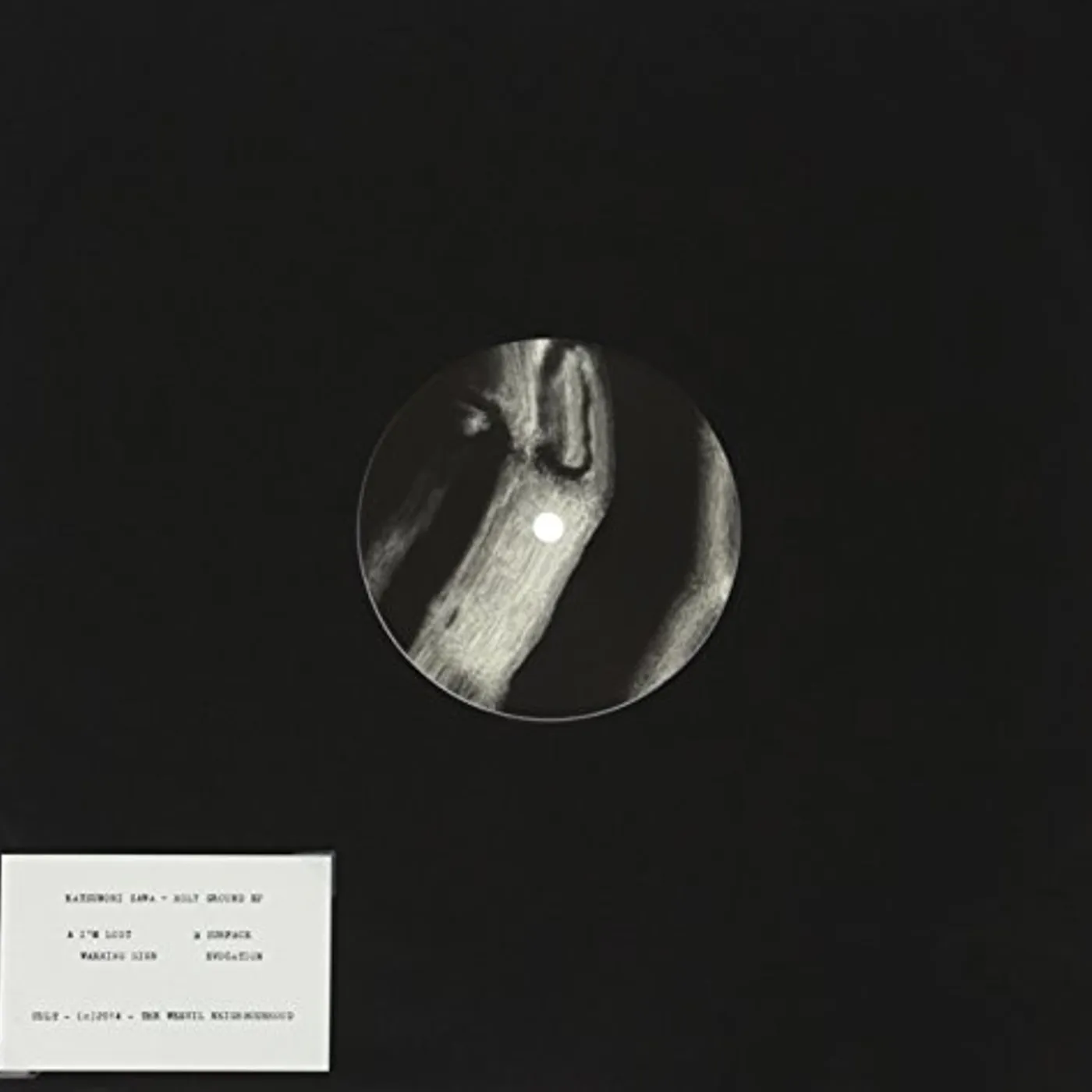 Katsunori Sawa HOLY GROUND Vinyl Record