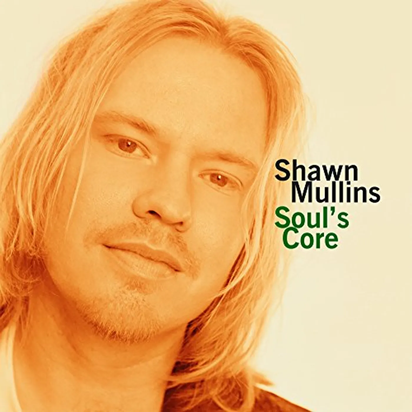 Shawn Mullins Soul's Core Vinyl Record