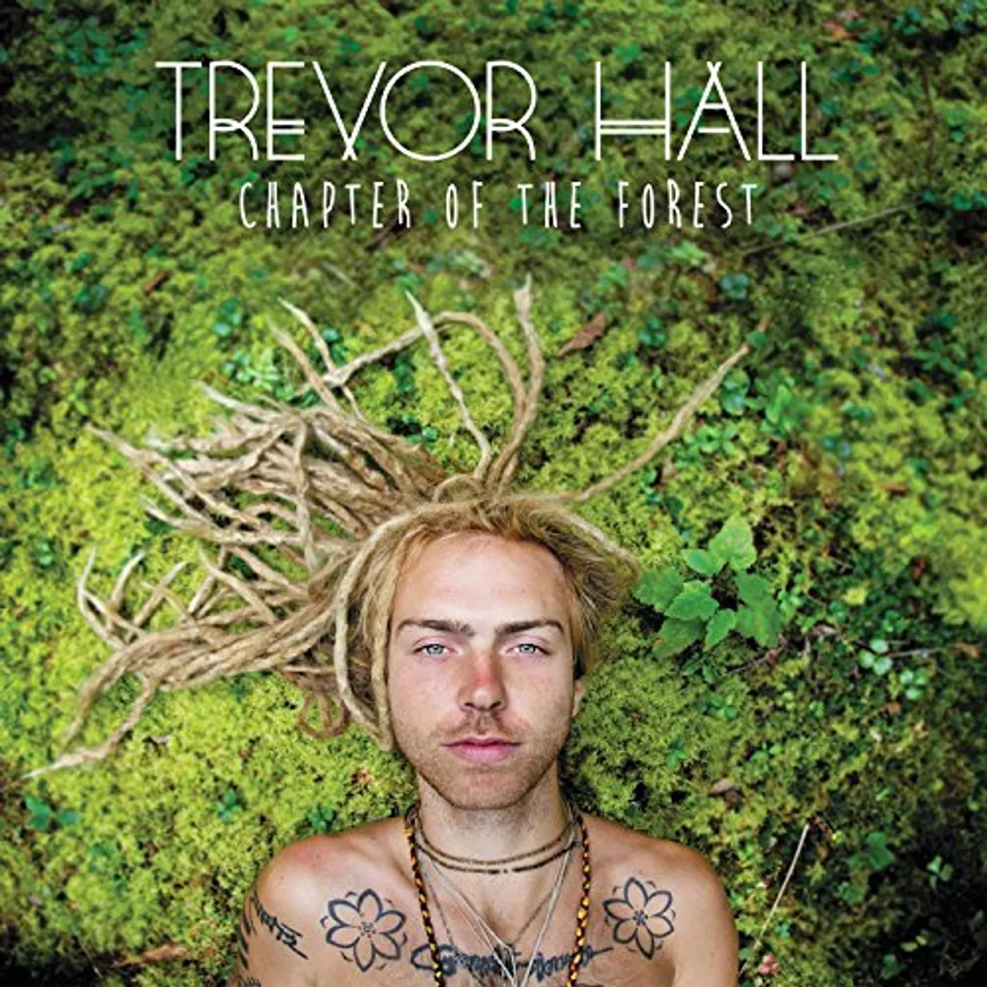 Trevor Hall Chapter Of The Forest Vinyl Record