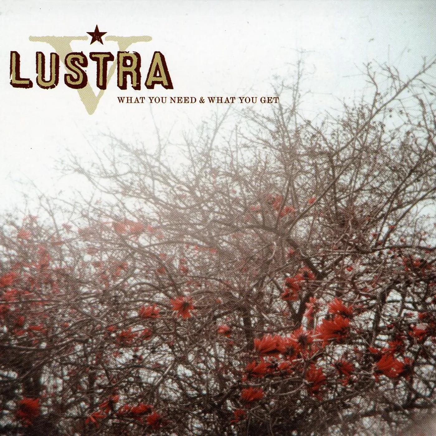 Lustra WHAT YOU NEED & WHAT YOU GET CD