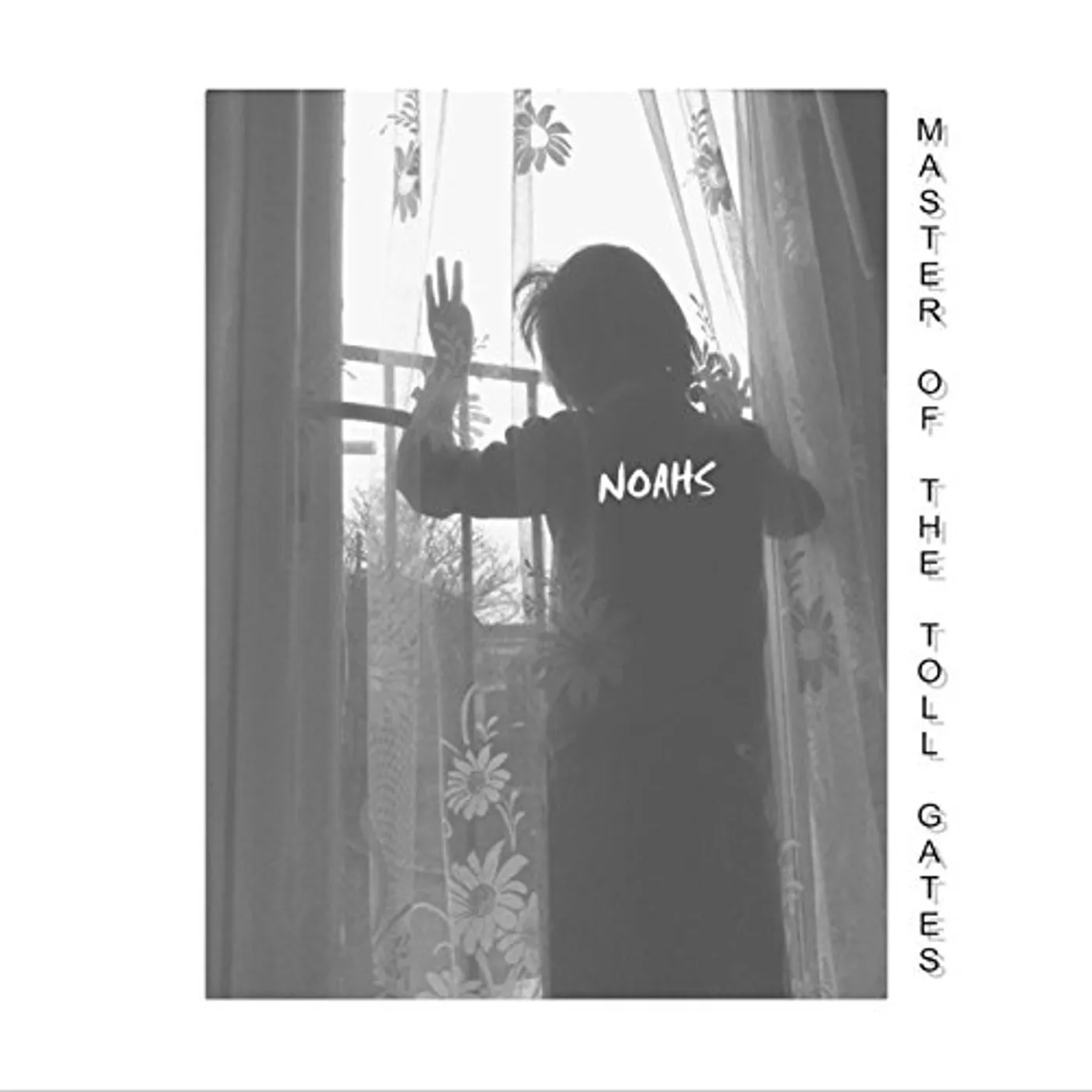 NOAHS MASTER OF THE TOLL GATES CD