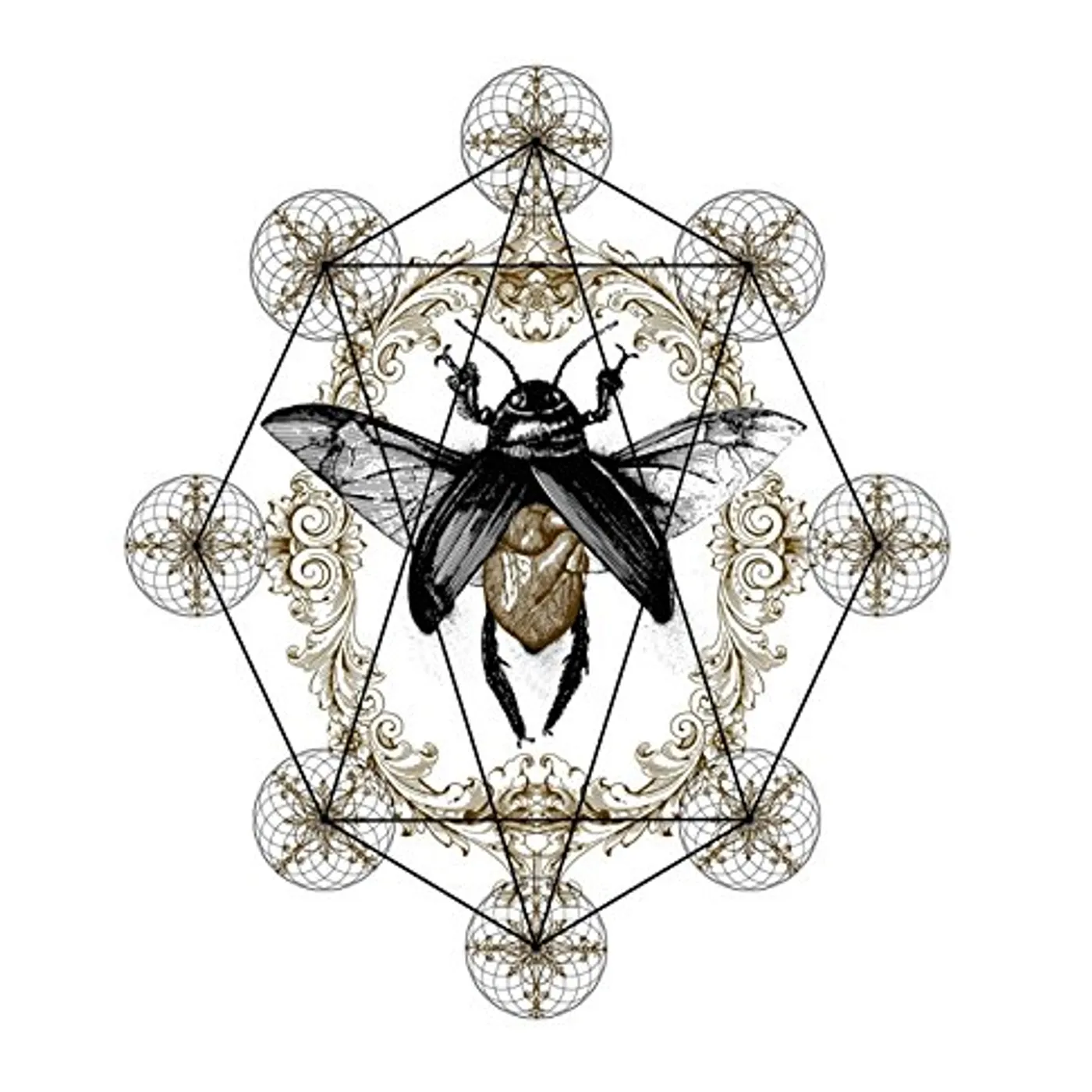 Ohhms Bloom Vinyl Record