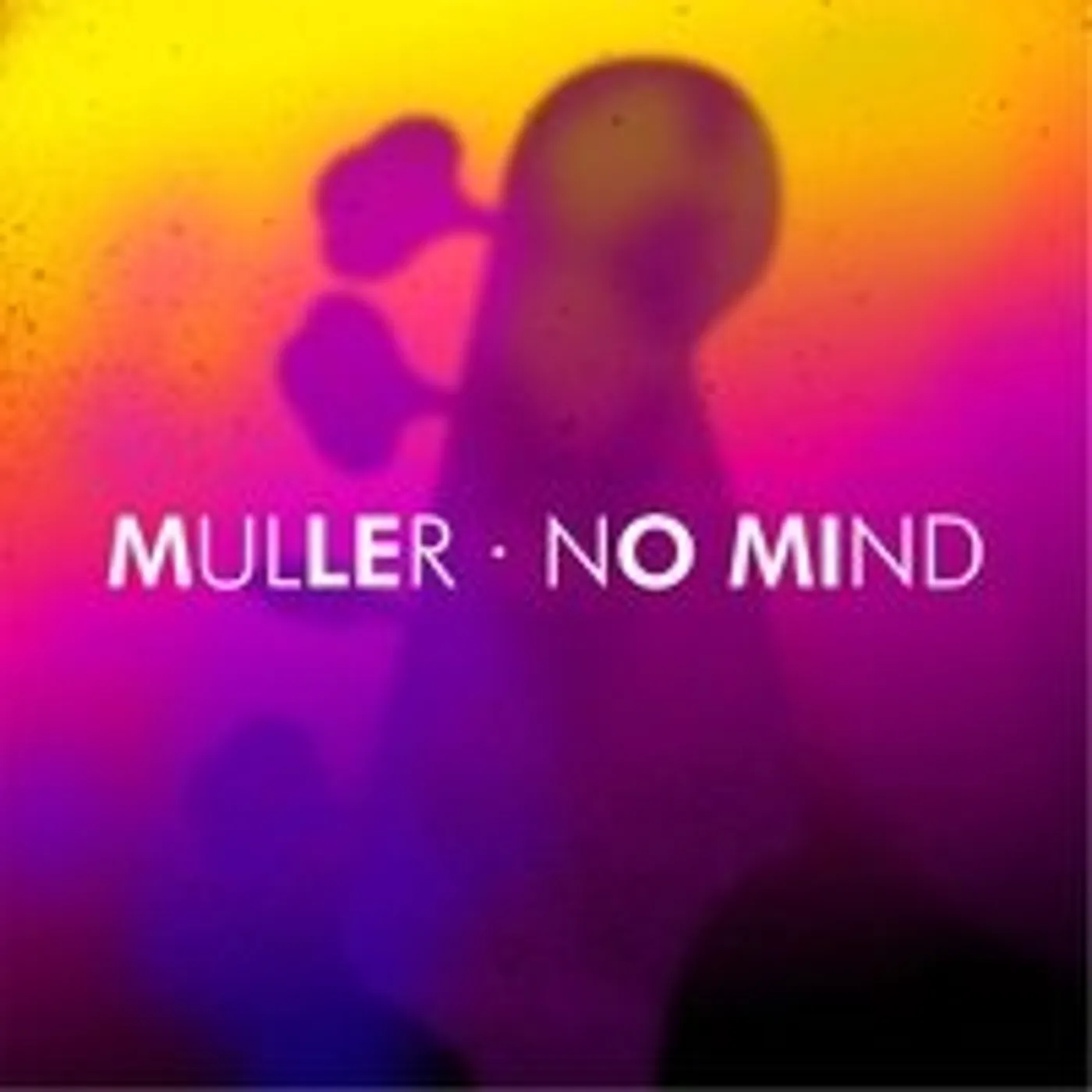 Peter Muller NO MIND CD
