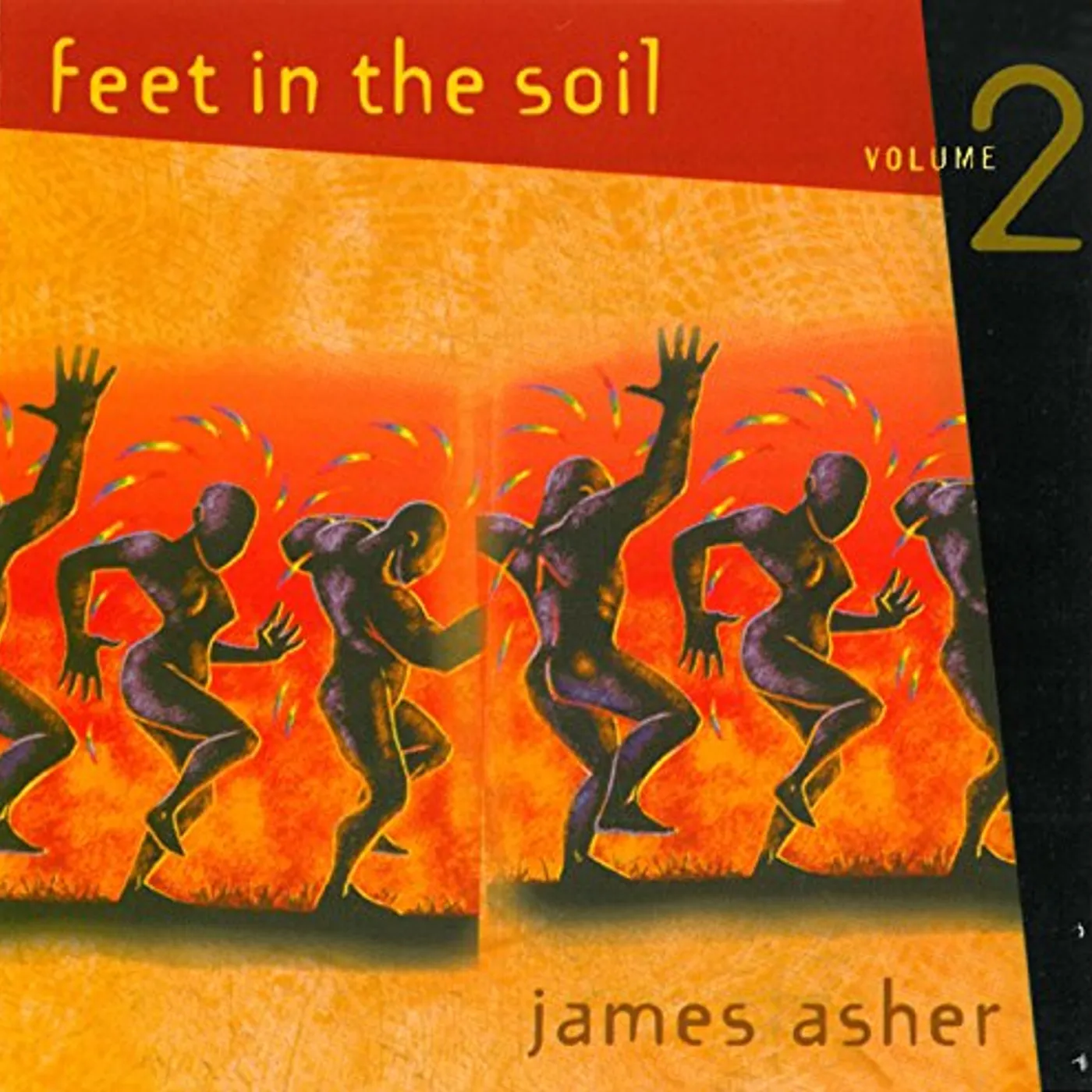 James Asher FEET IN THE SOIL 2 CD