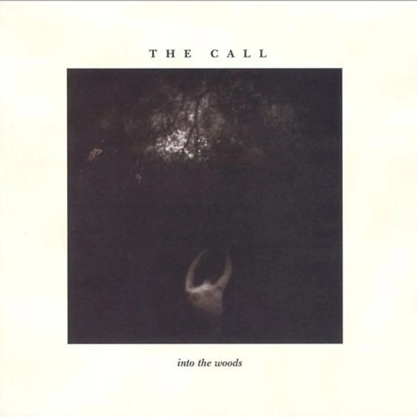 Call Into The Woods Vinyl Record