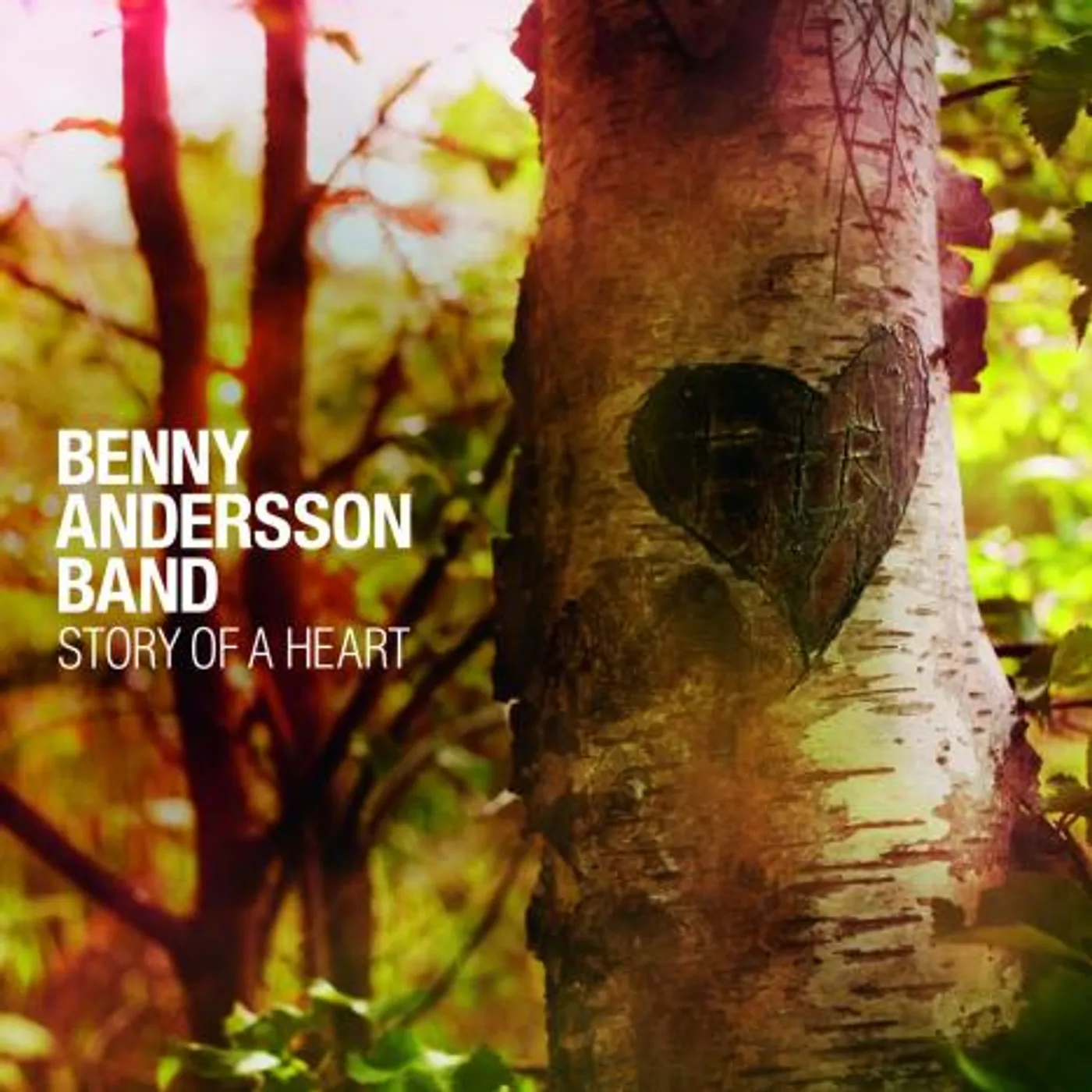 Benny Andersson STORY OF A HEART CD
