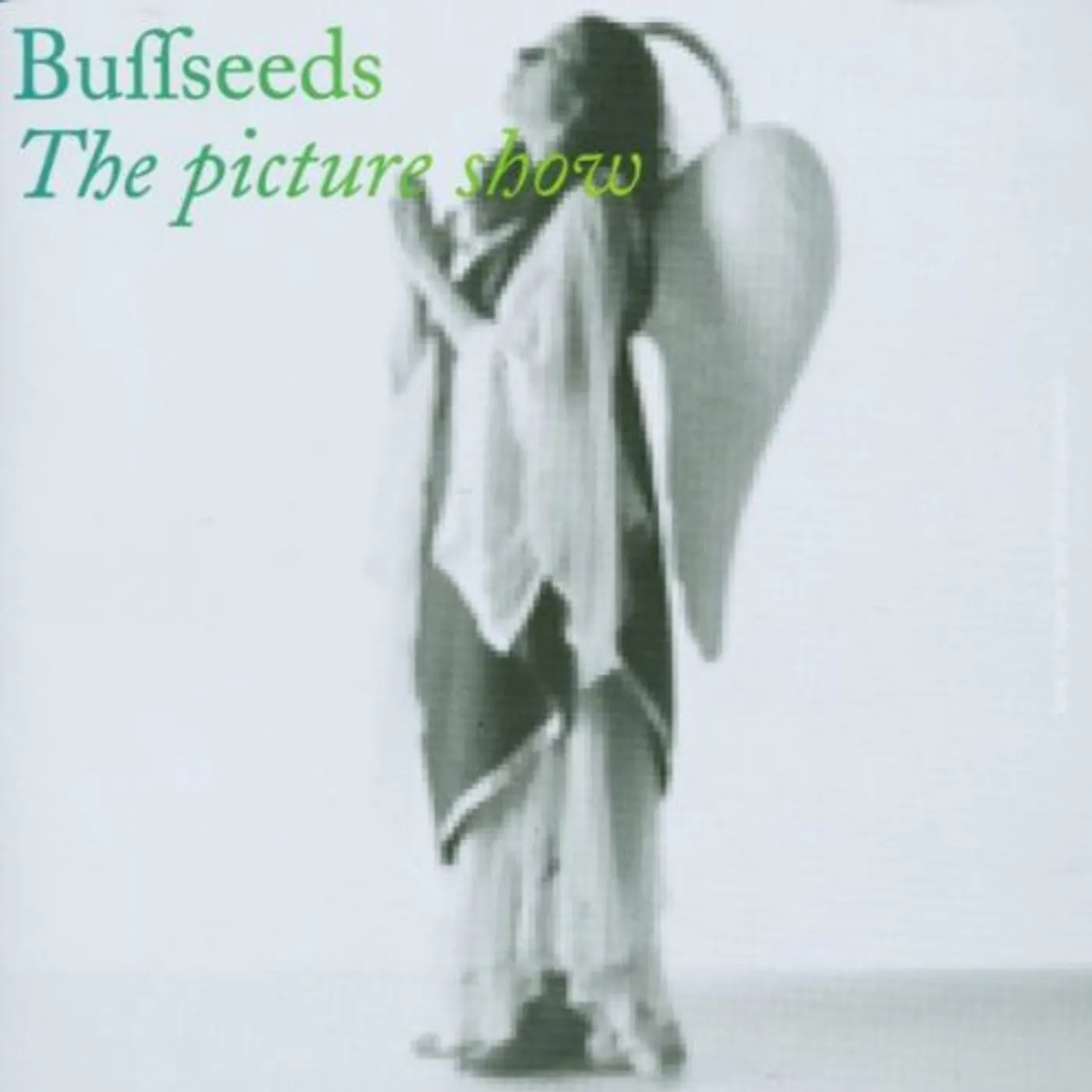 Buffseeds PICTURE SHOW CD