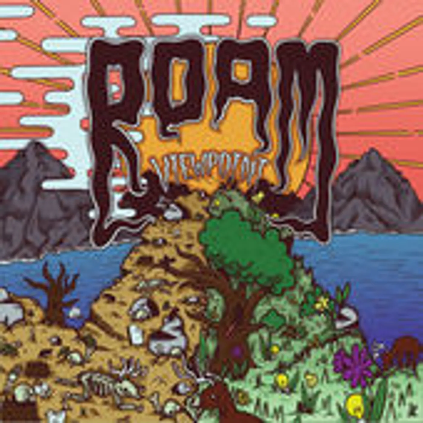ROAM Viewpoint Vinyl Record