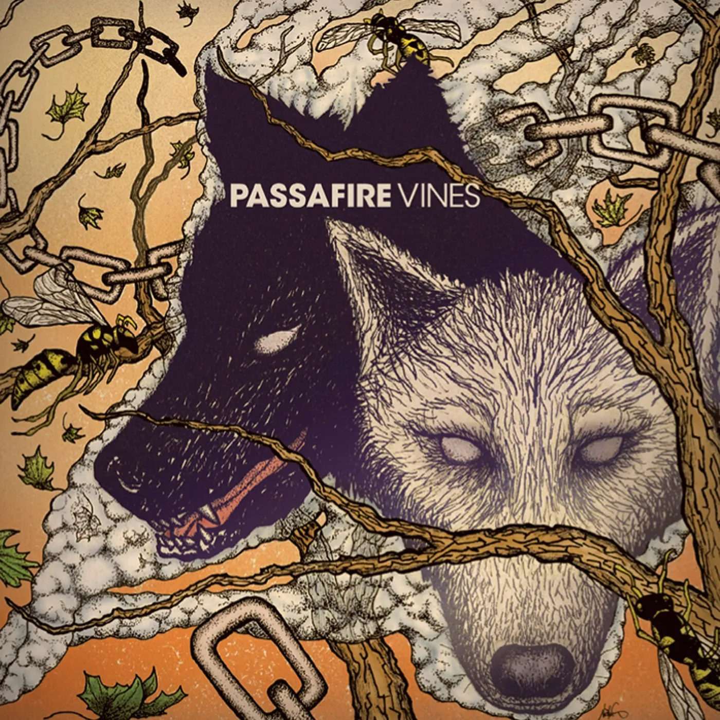 Passafire Vines Vinyl Record