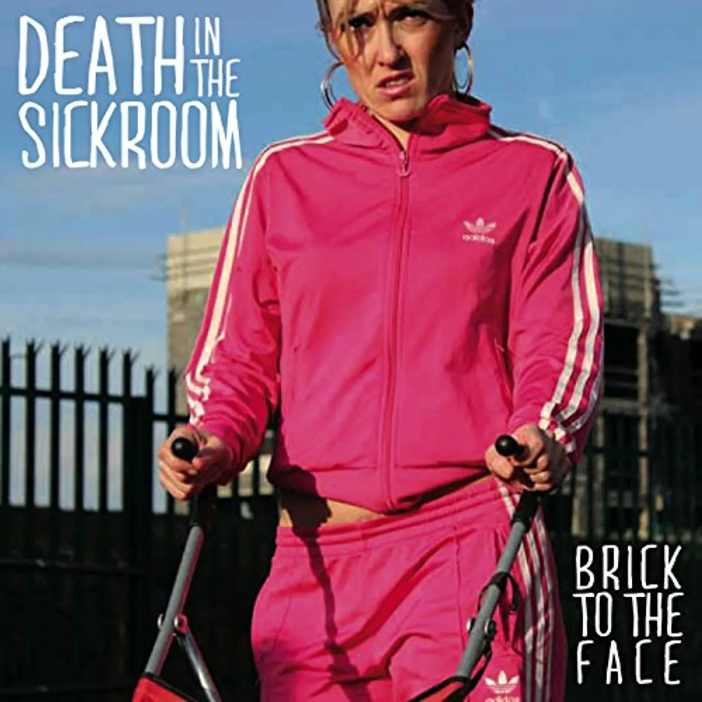 Death in the Sickroom BRICK TO THE FACE CD