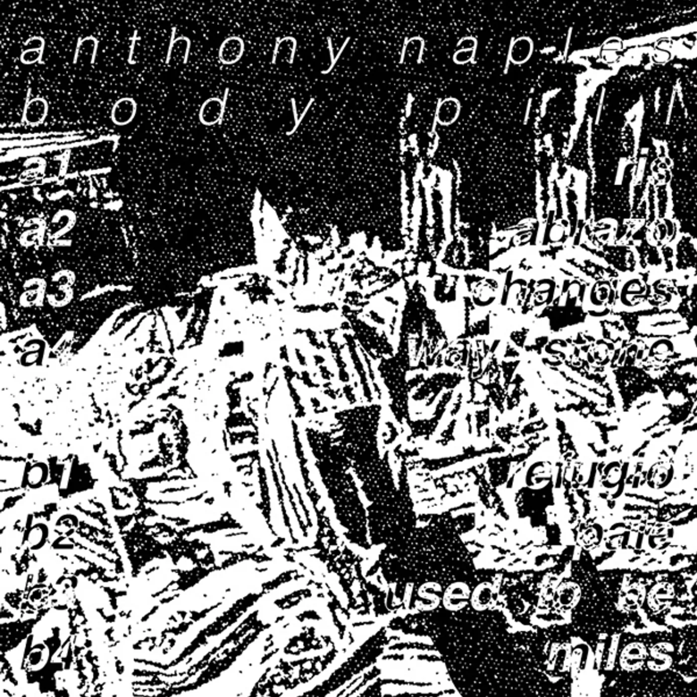 Anthony Naples Body Pill Vinyl Record