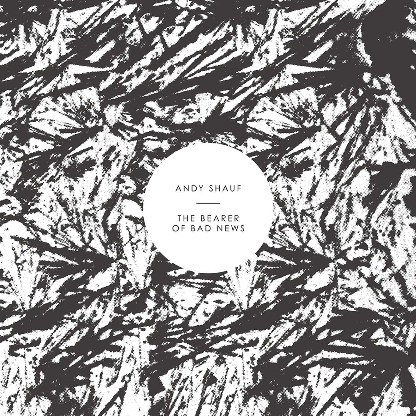 Andy Shauf BEARER OF BAD NEWS CD