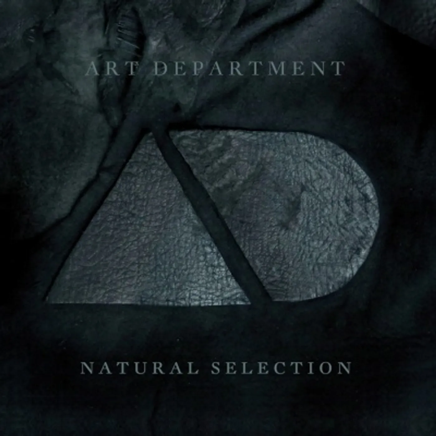 Art Department Natural Selection Vinyl Record