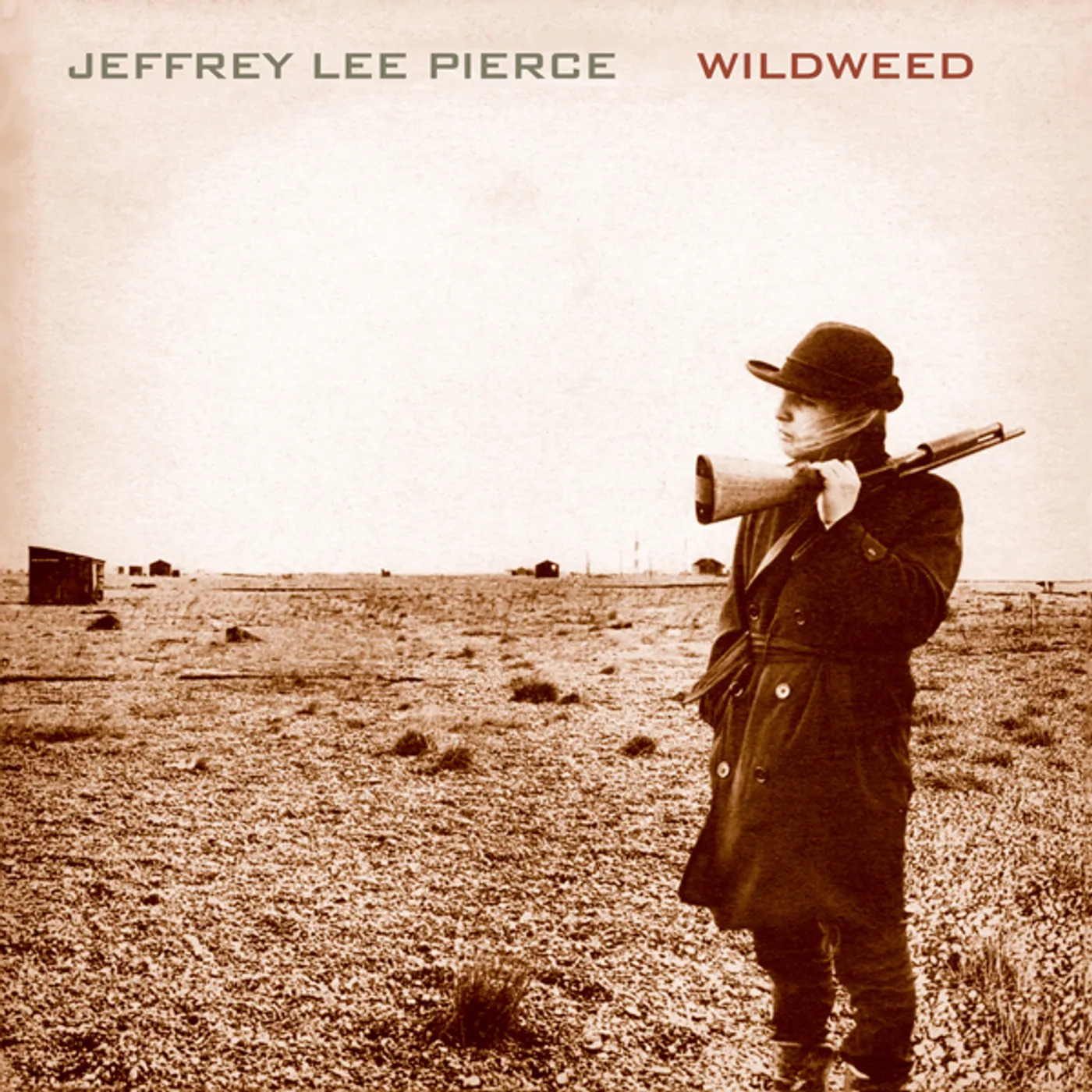 Jeffrey Lee Pierce Wildweed Vinyl Record