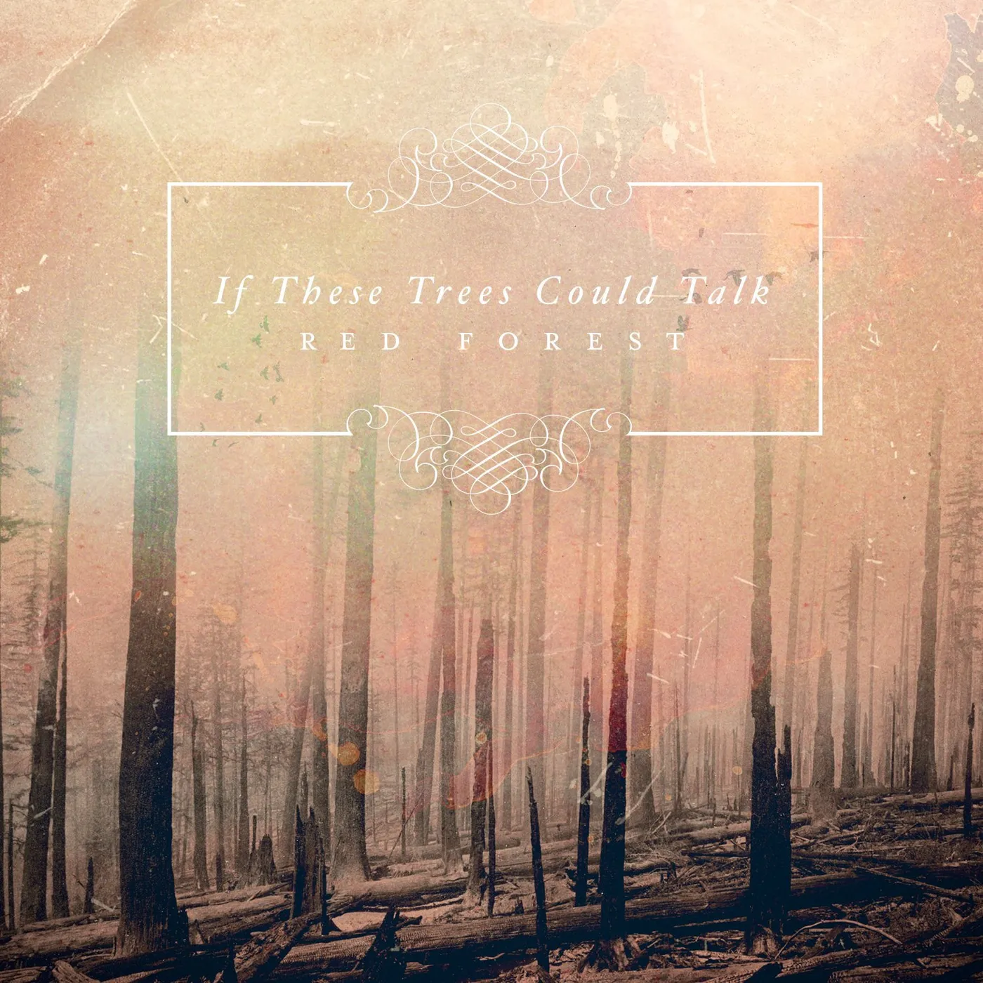 If These Trees Could Talk RED FOREST CD