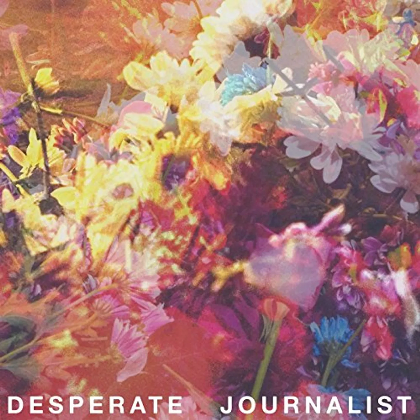 DESPERATE JOURNALIST CD