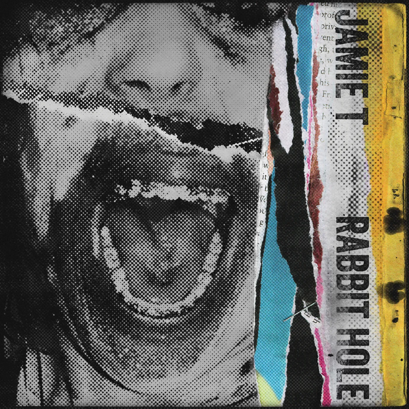 Jamie T RABBIT HOLE Vinyl Record - UK Release