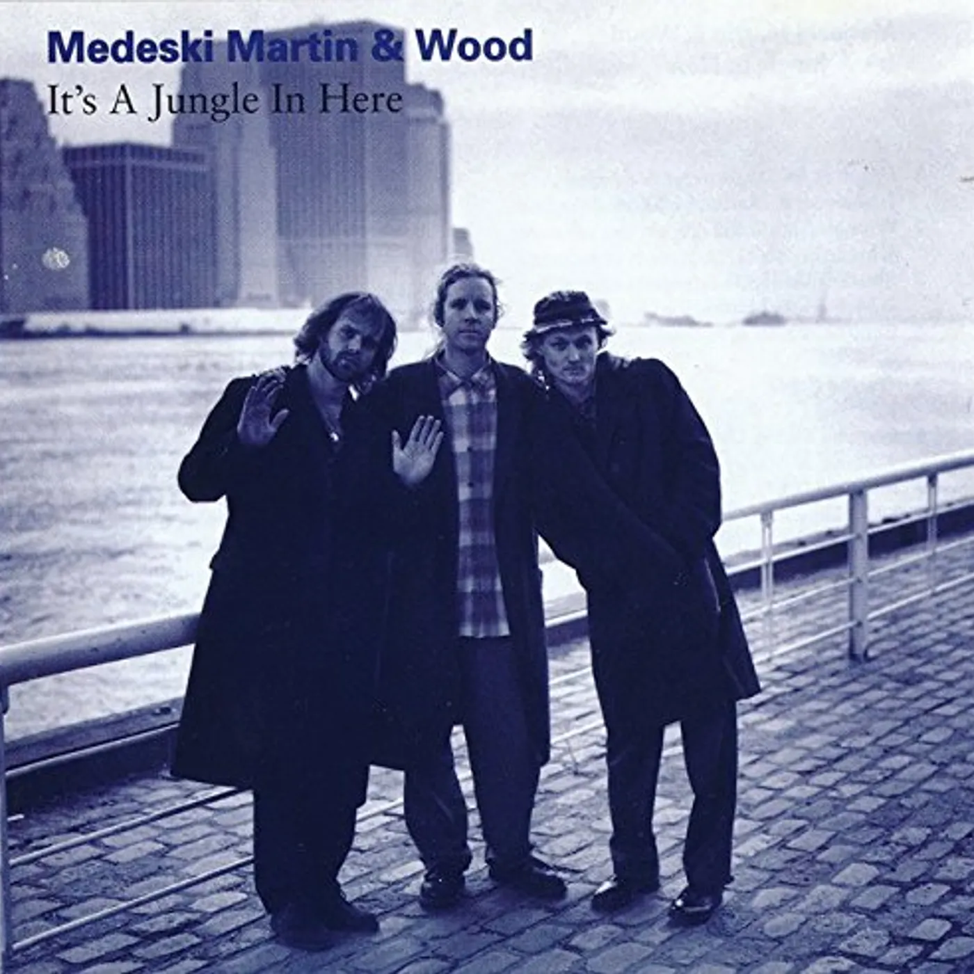 Medeski, Martin & Wood IT'S A JUNGLE IN HERE CD