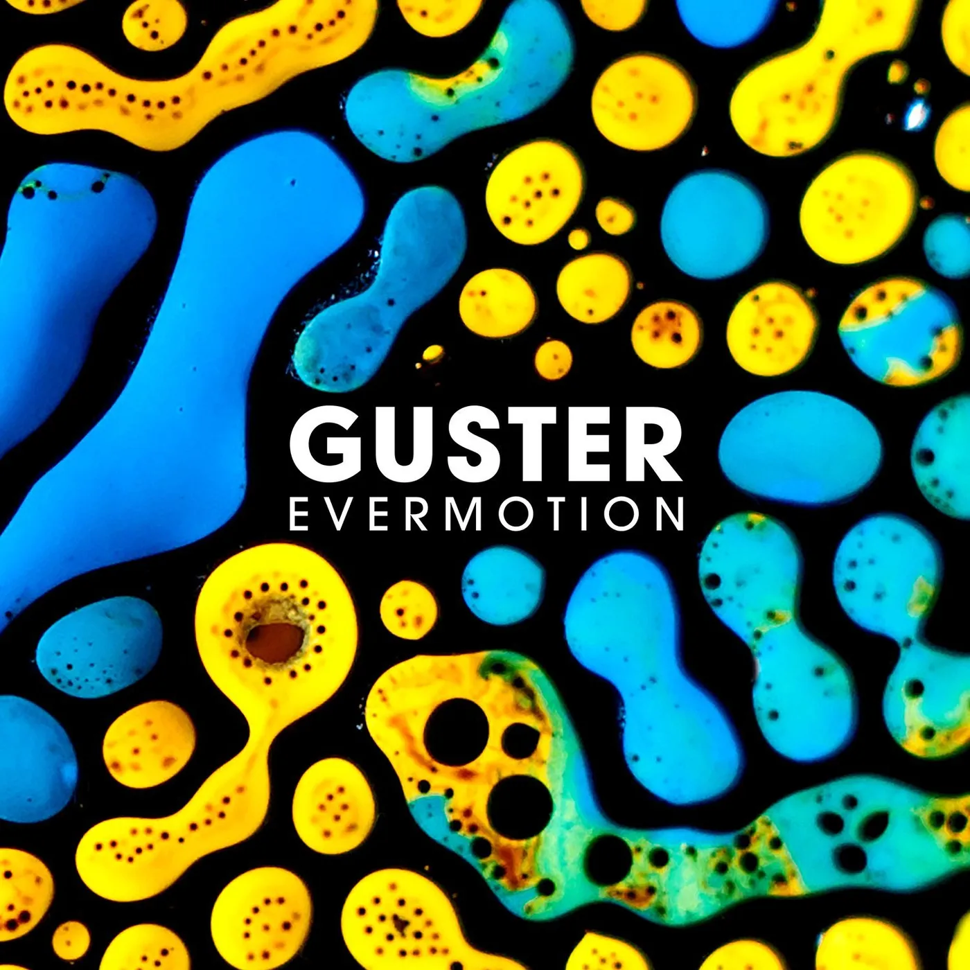 Guster Evermotion Vinyl Record