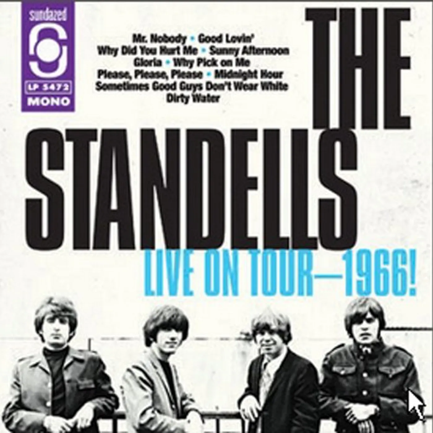 The Standells LIVE 1966 Vinyl Record