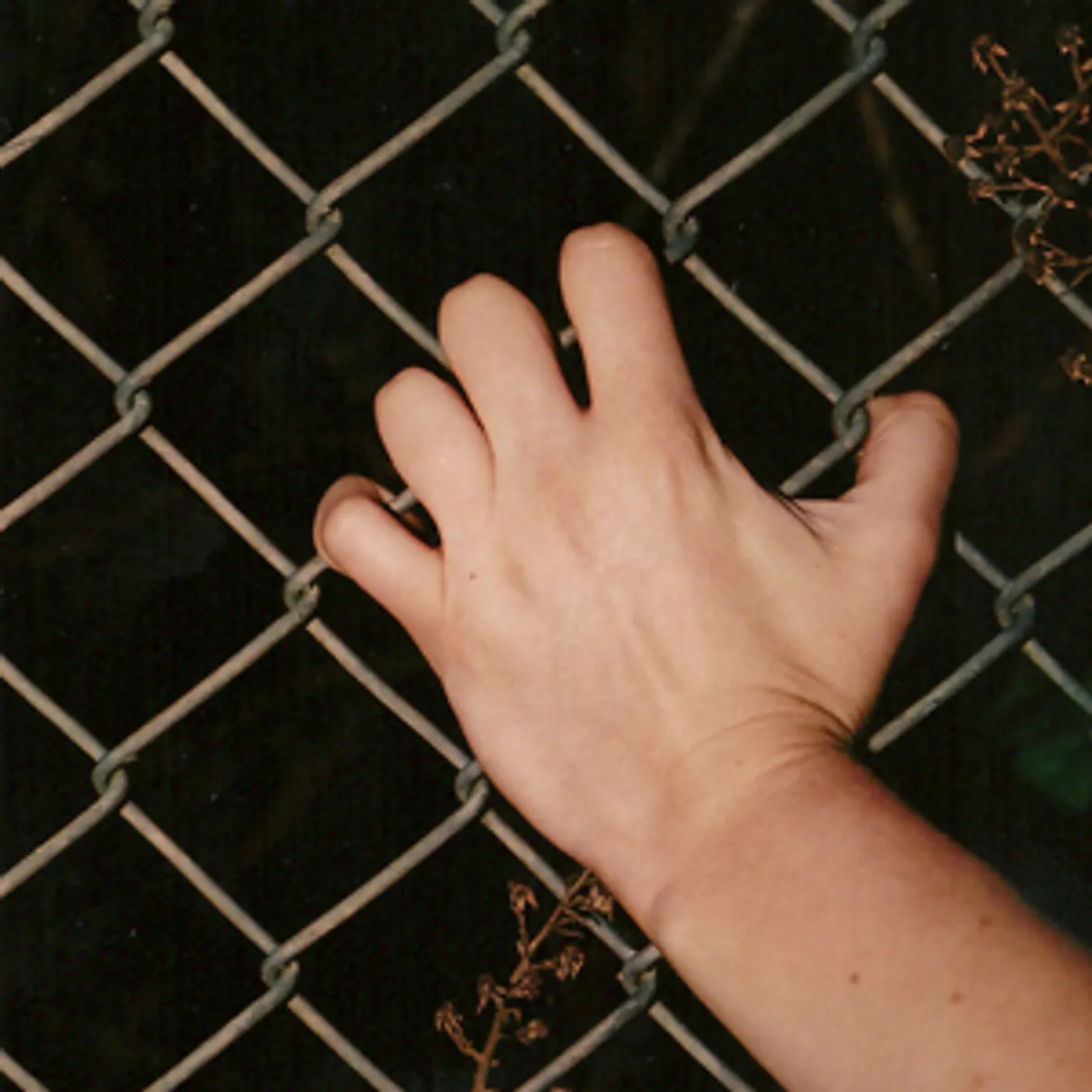 Culture Abuse DAY DREAMS OF NOTHING Vinyl Record