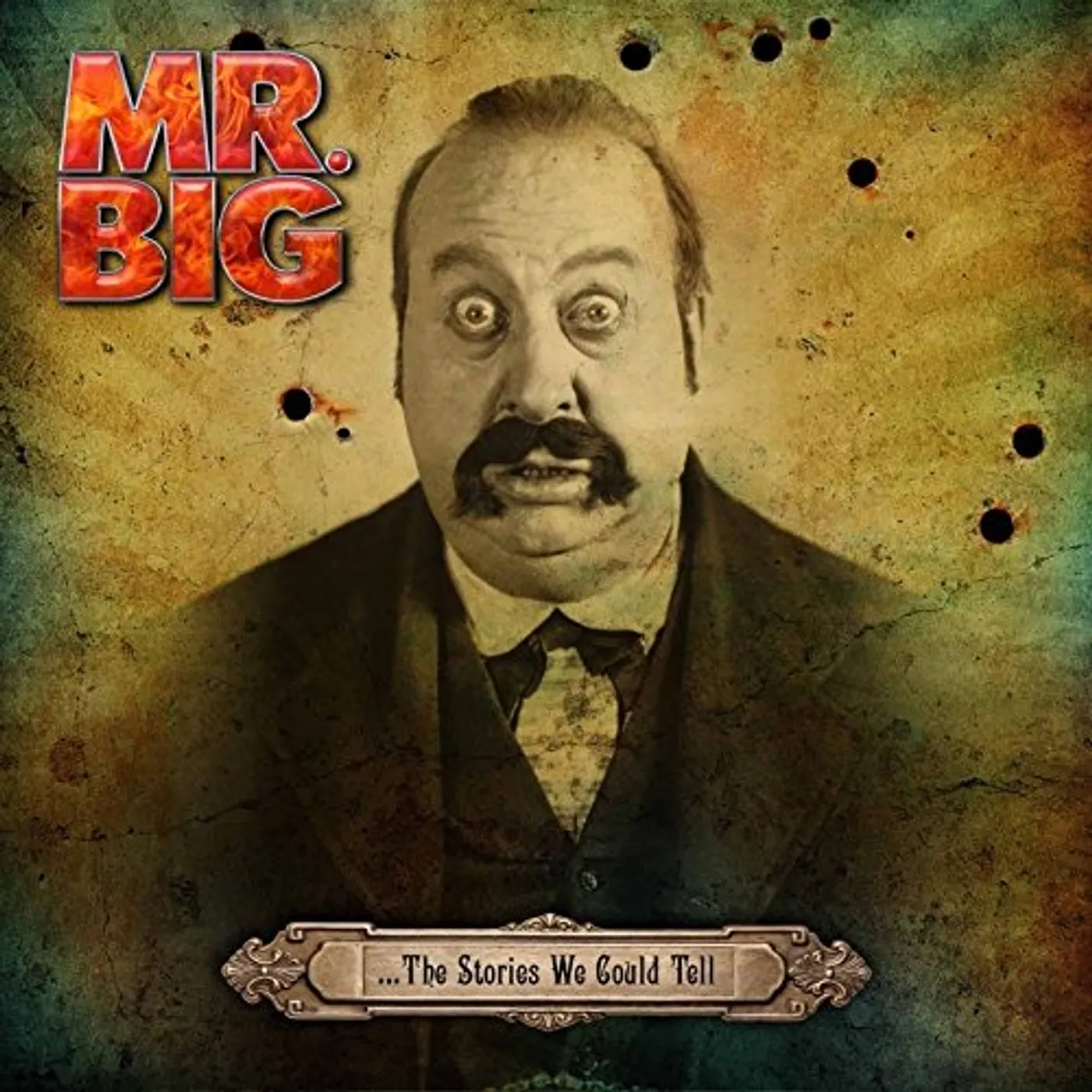 Mr. Big STORIES WE COULD TELL Vinyl Record