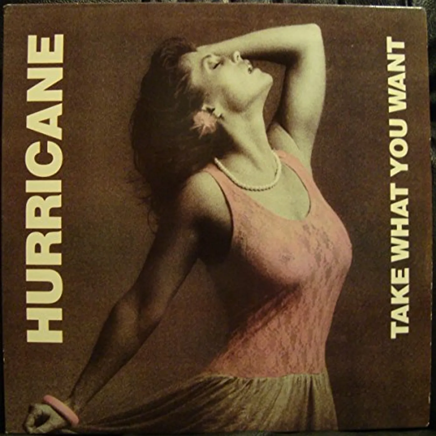 Hurricane Take What You Want Vinyl Record