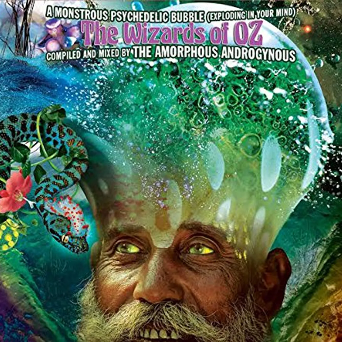 Amorphous Androgynous MONSTROUS PSYCHEDELIC BUBBLE-THE WIZARDS OF OZ CD