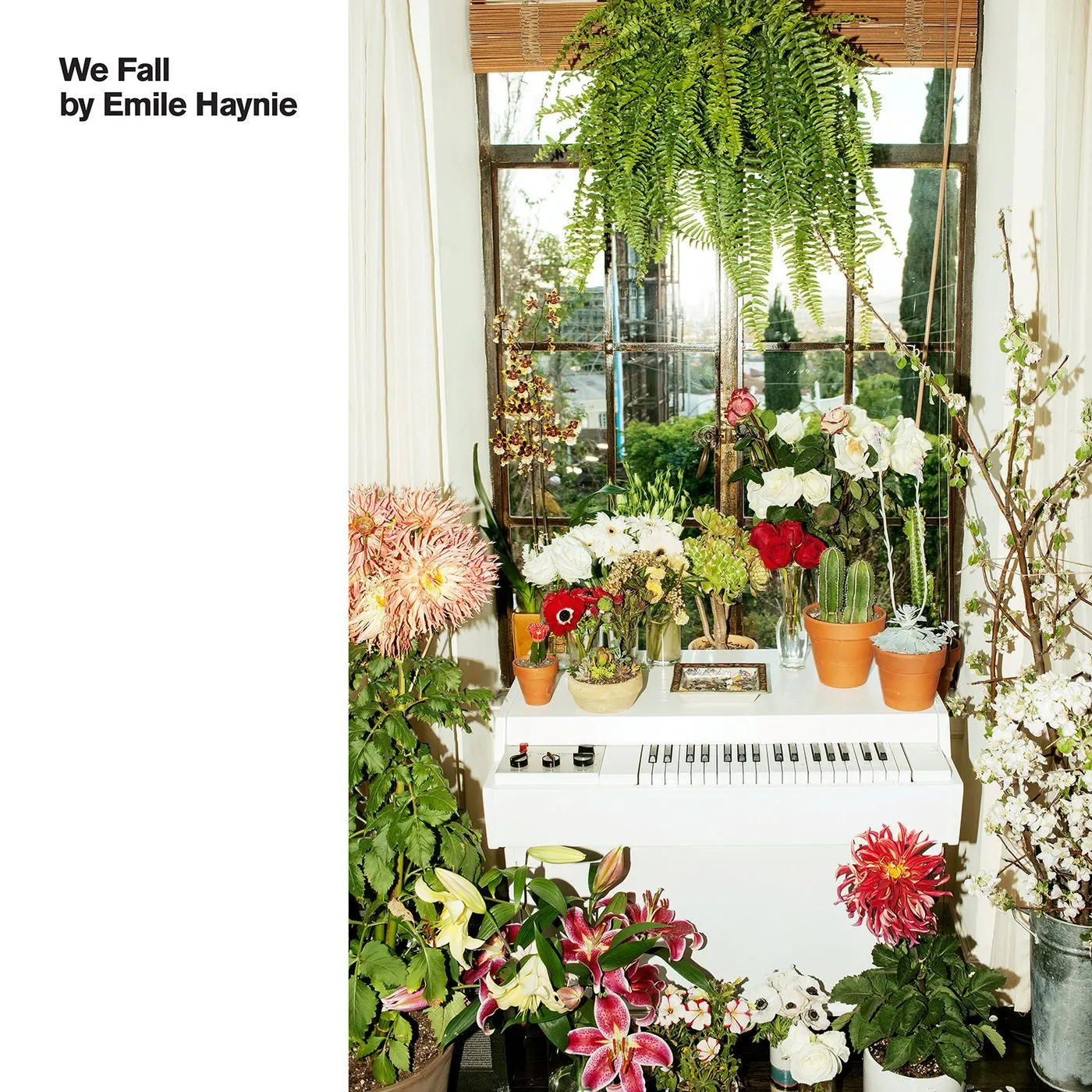 Emile Haynie WE FALL CD