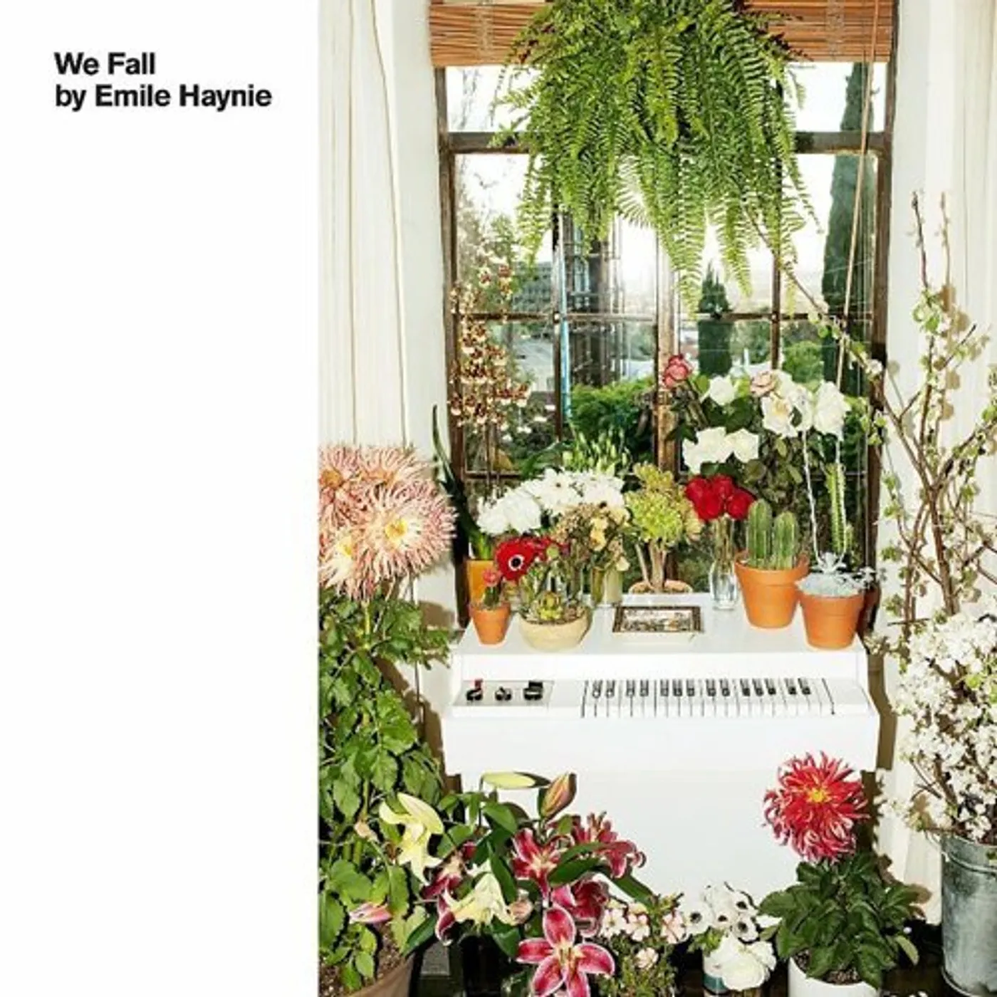 Emile Haynie We Fall Vinyl Record
