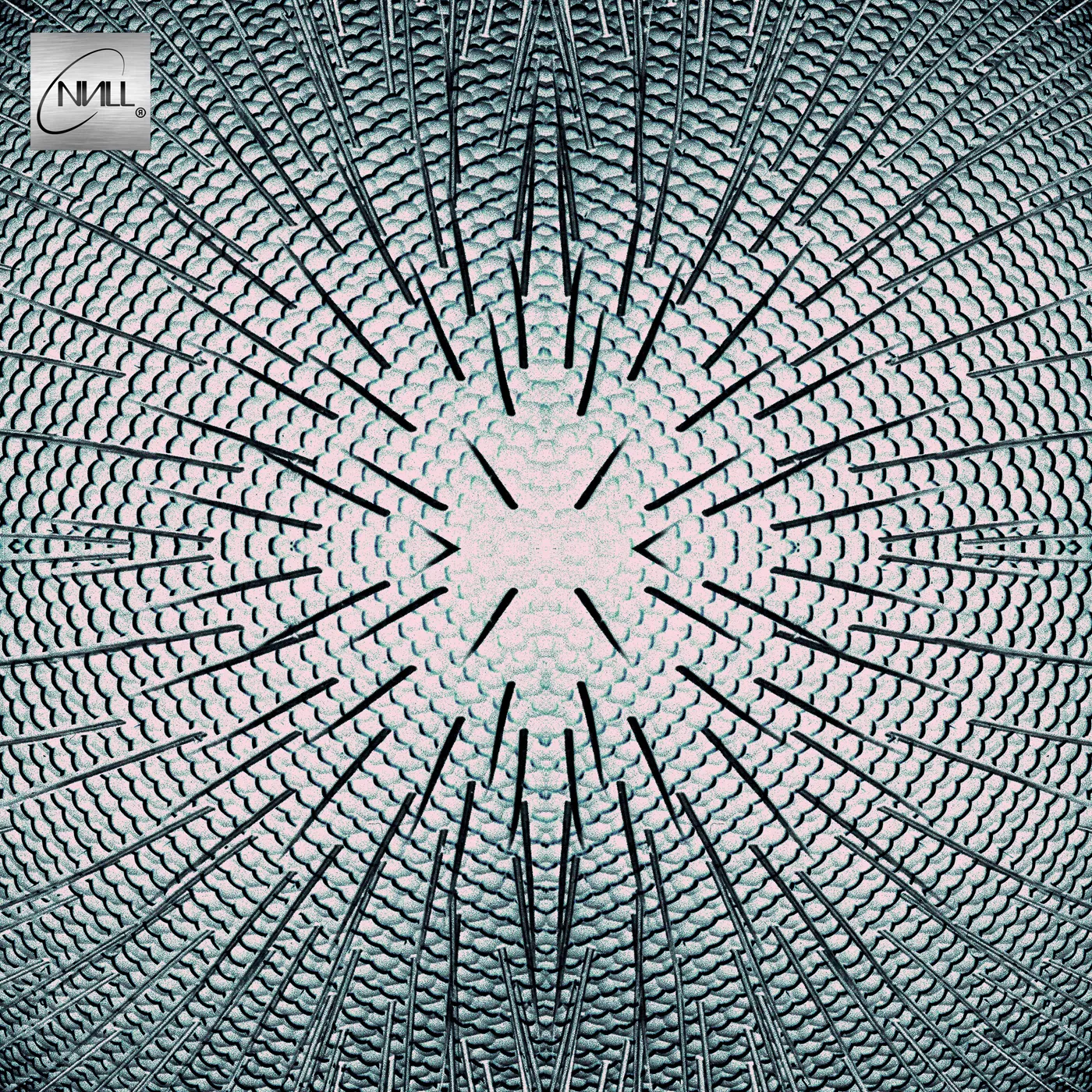 Null Almost Vinyl Record