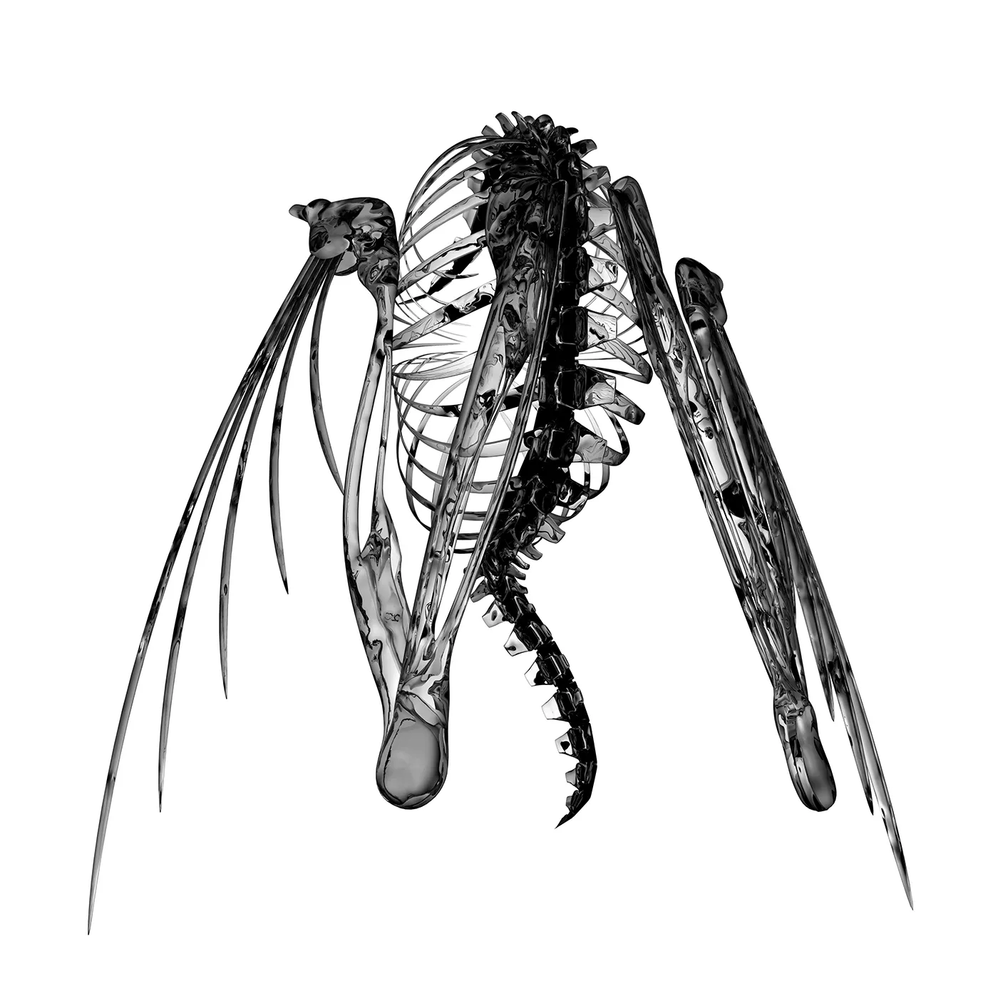 Lotic Heterocetera Vinyl Record
