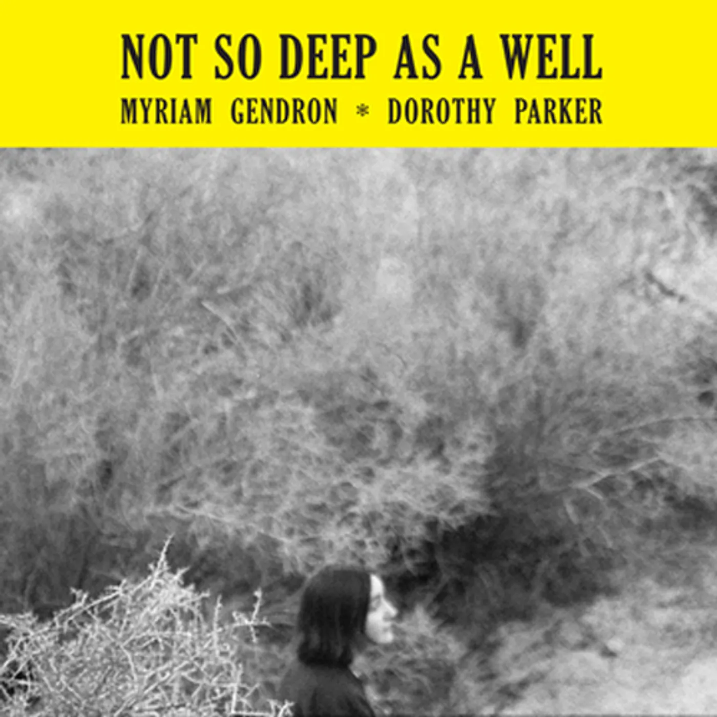 Myriam Gendron NOT SO DEEP AS A WELL CD