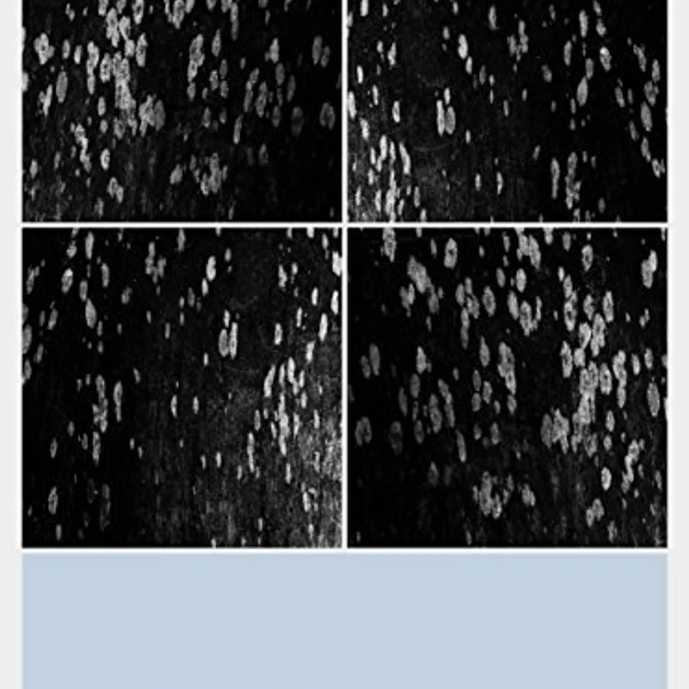 Ryuichi Sakamoto PLAYING THE ORCHESTRA 2014 Blu-ray