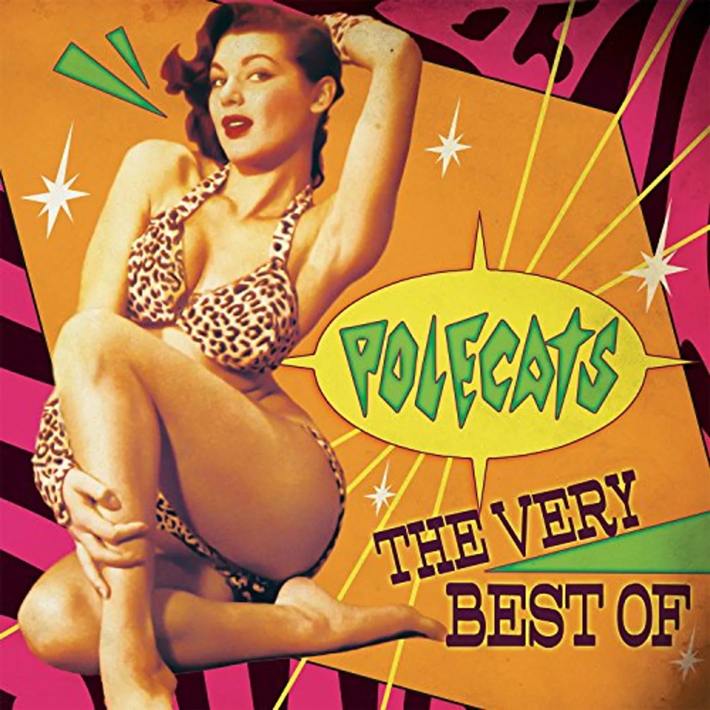 The Polecats VERY BEST OF Vinyl Record
