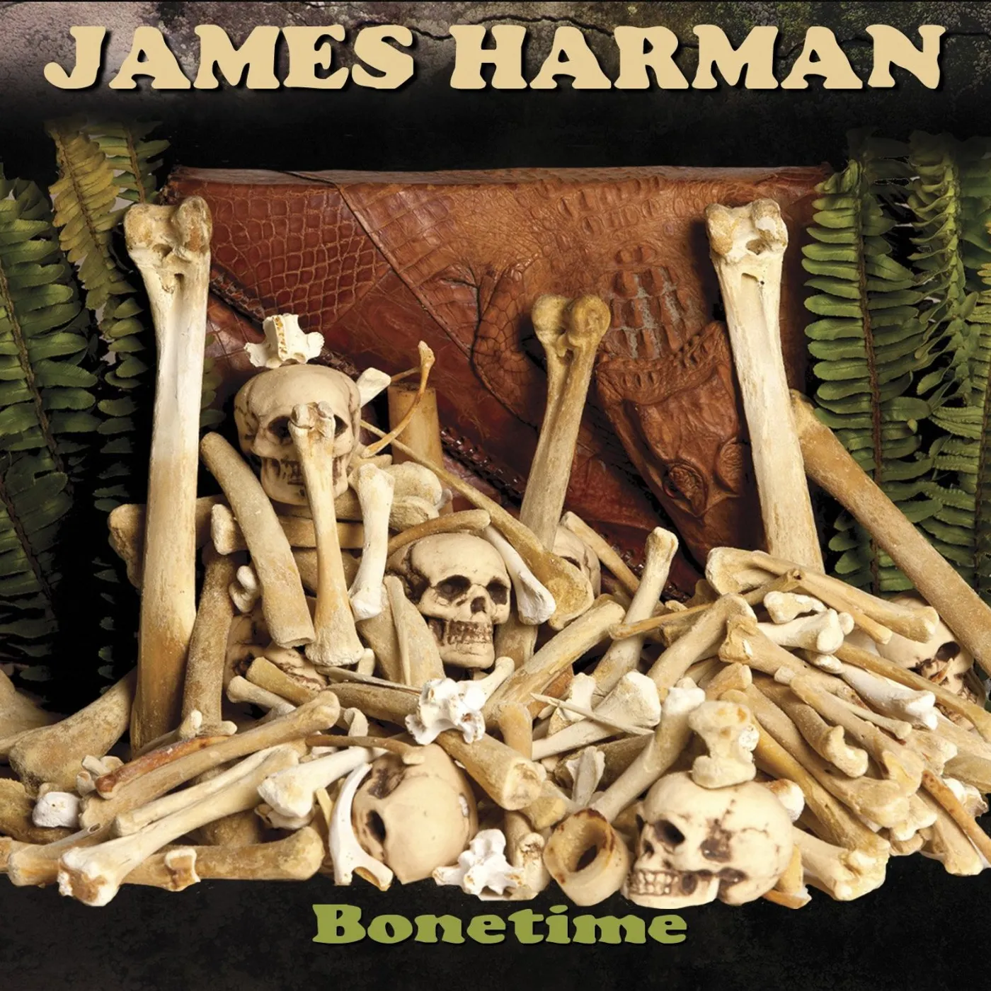 James Harman BONETIME CD