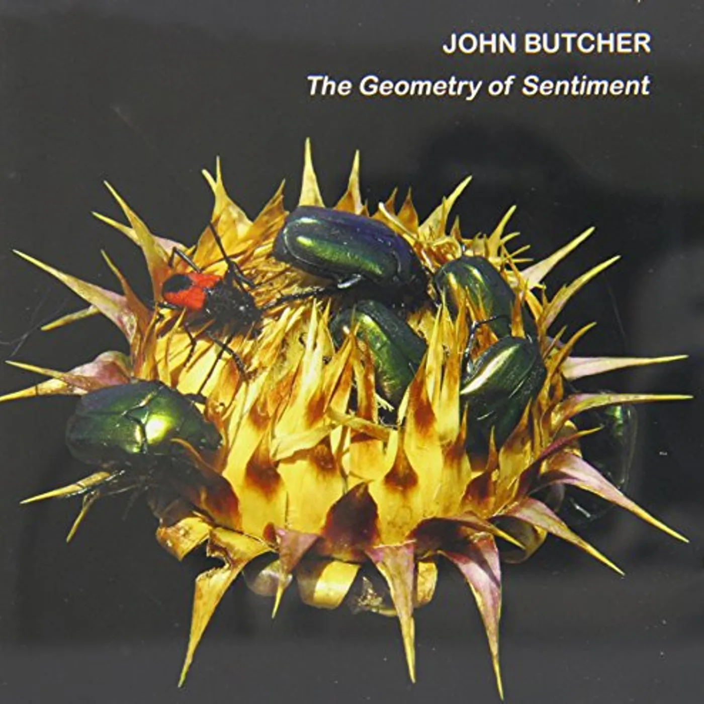 John Butcher GEOMETRY OF SENTIMENT CD