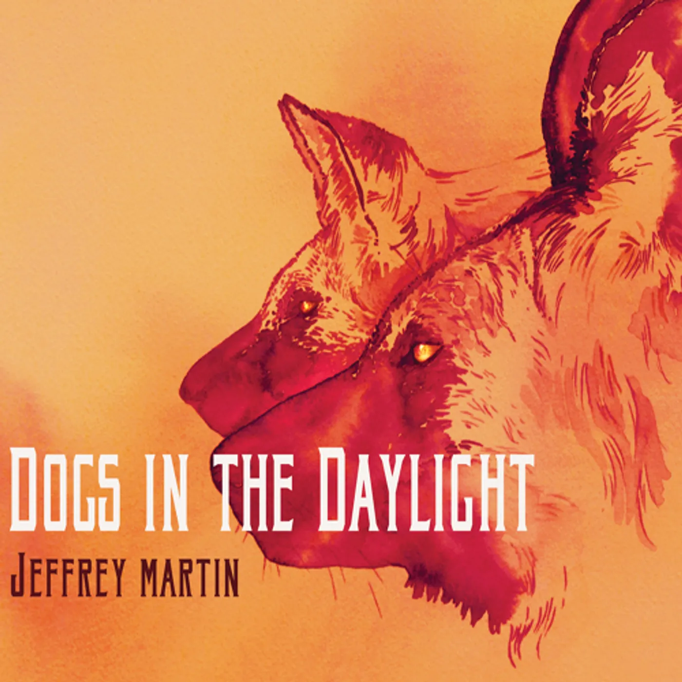Jeffrey Martin Dogs in the Daylight Vinyl Record