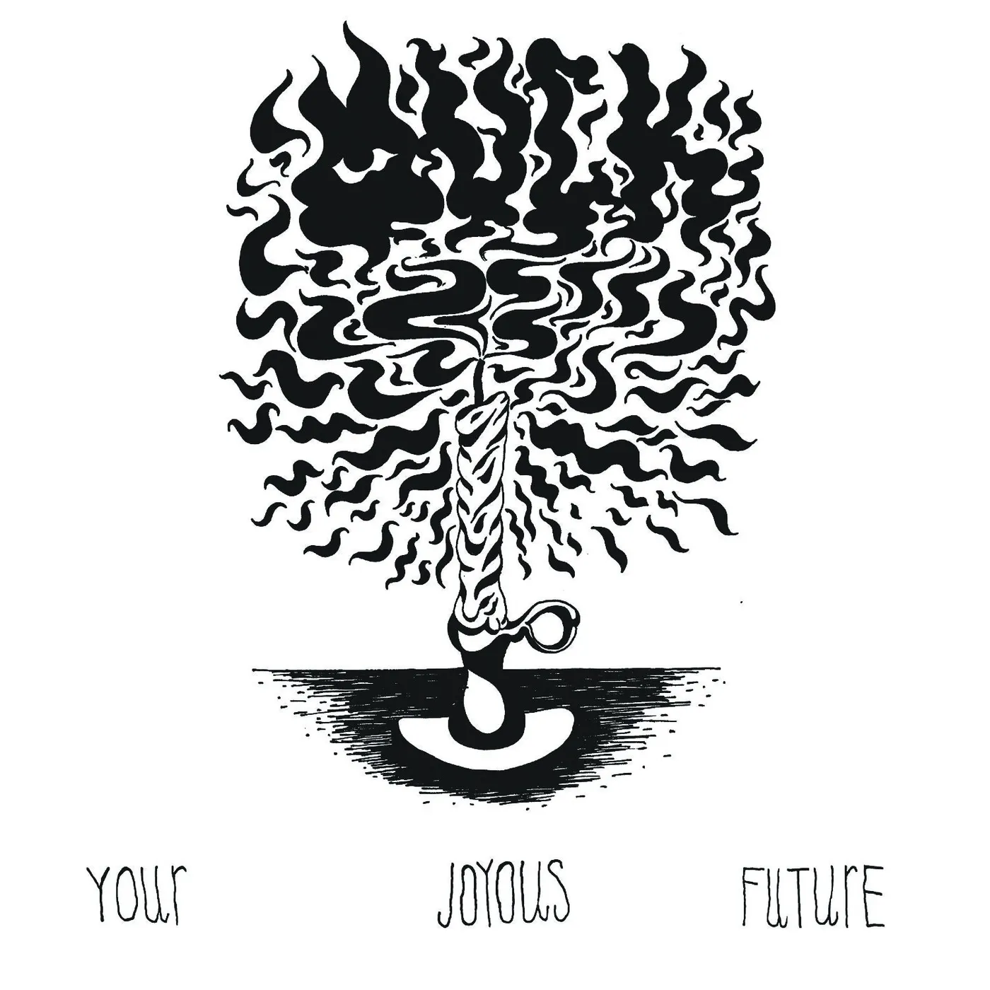 Muck Your Joyous Future Vinyl Record