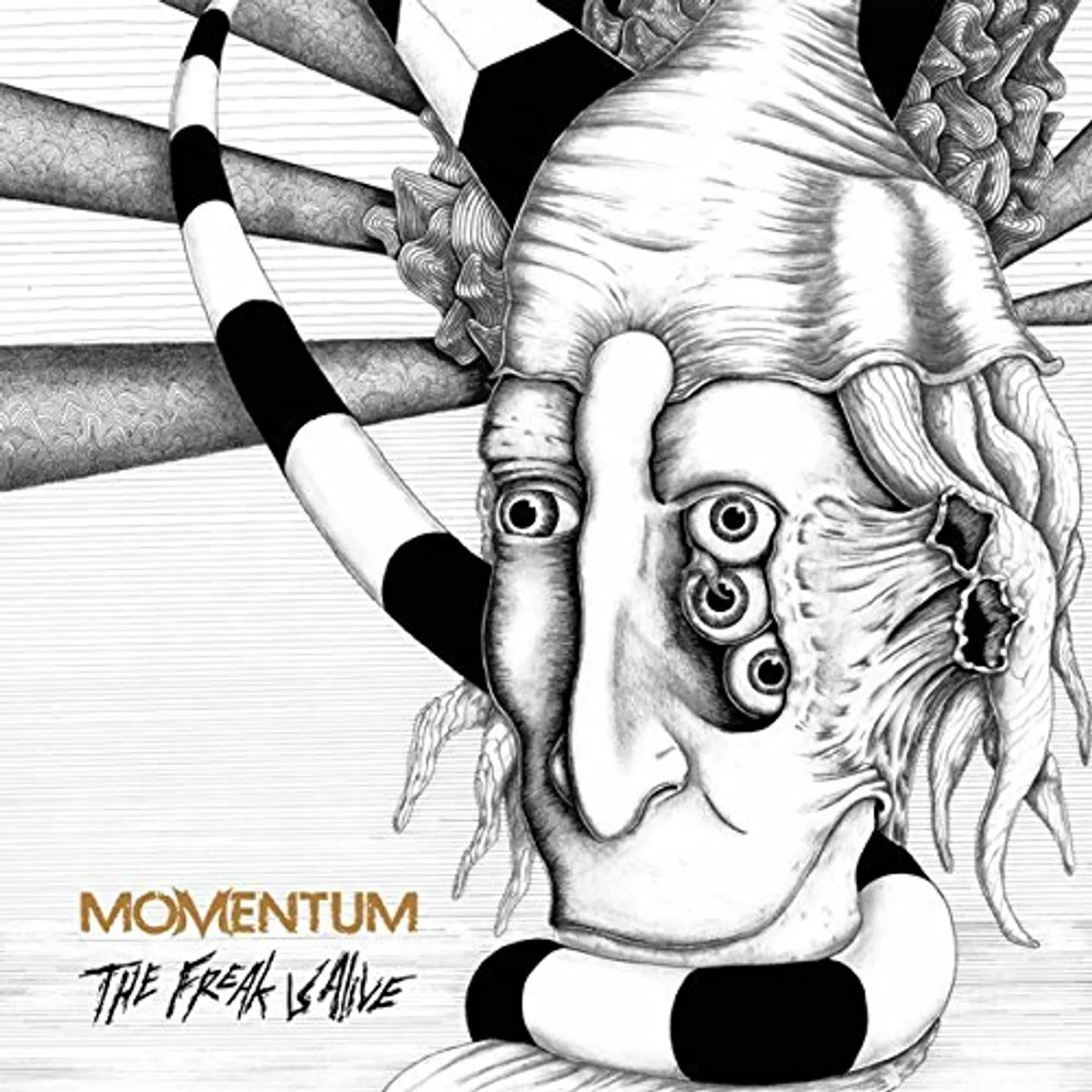 Momentum FREAK IS ALIVE CD