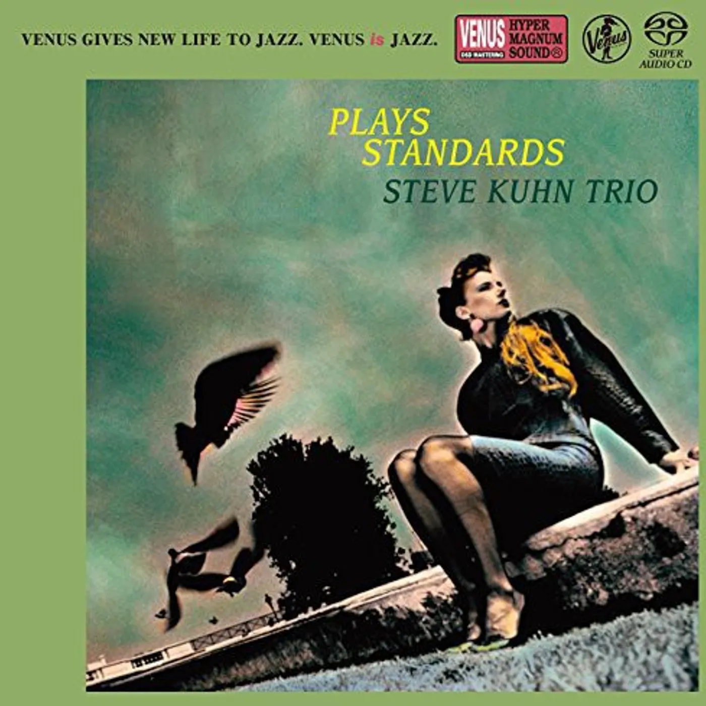 Steve Kuhn PLAYS STANDARDS Super Audio CD