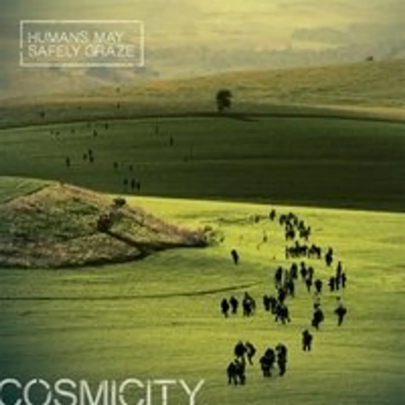 Cosmicity HUMANS MAY SAFELY GRAZE CD