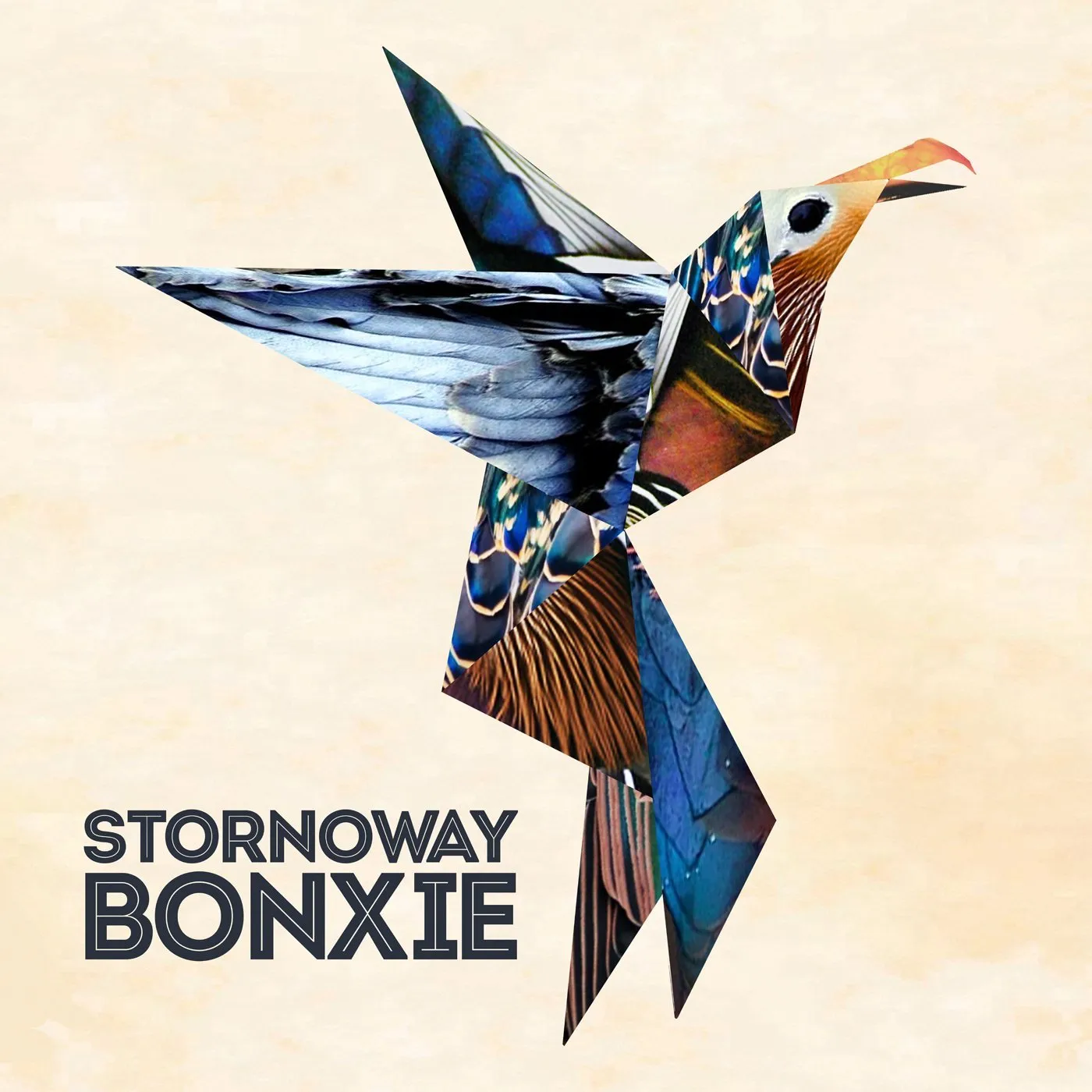 Stornoway Bonxie Vinyl Record