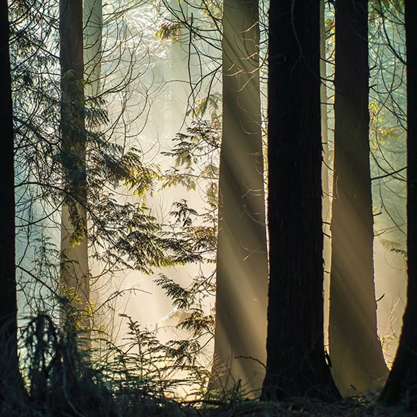 Blamstrain Sunday Dub Vinyl Record