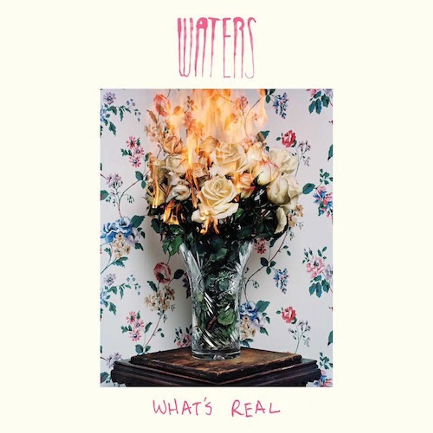 WATERS WHAT'S REAL CD