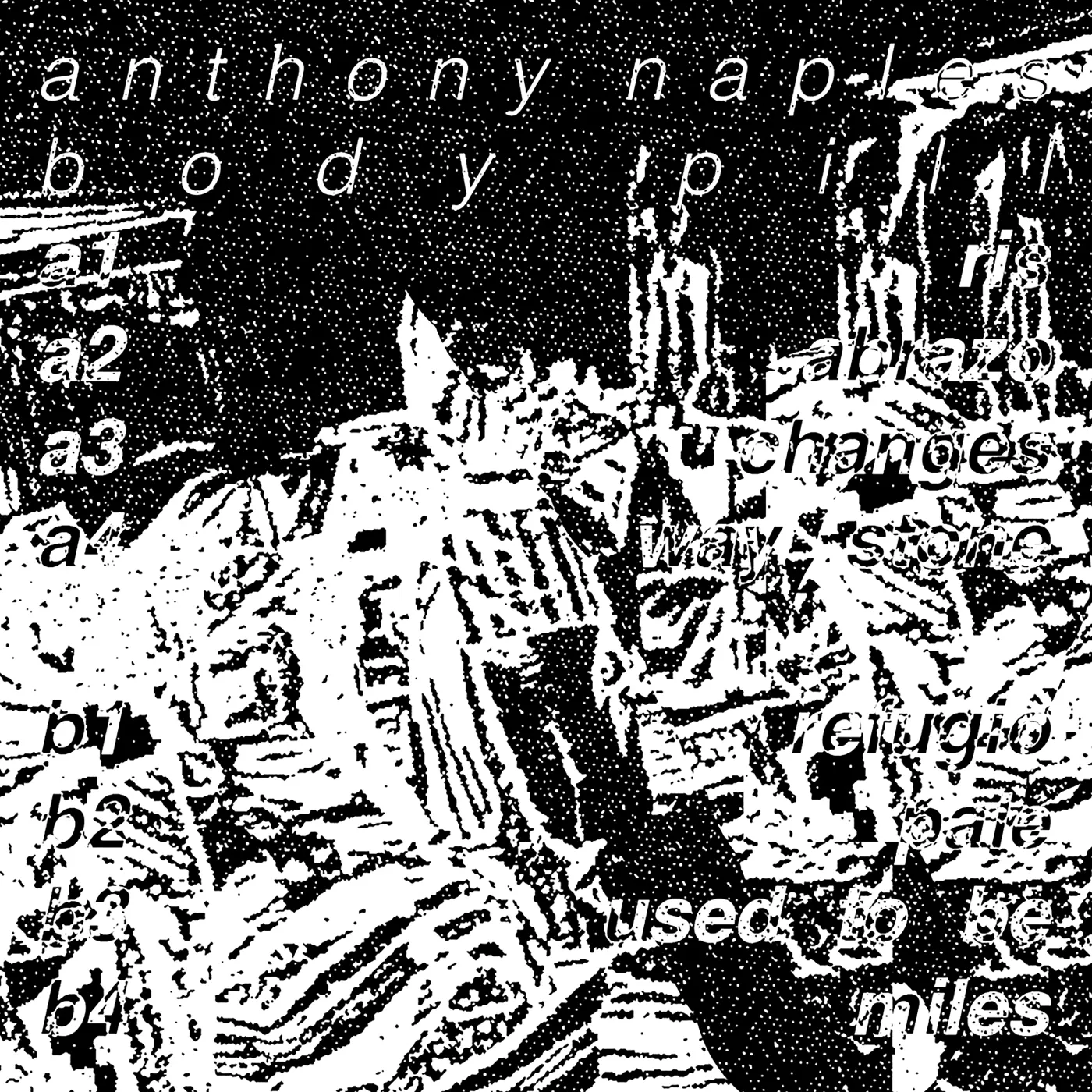Anthony Naples Body Pill Vinyl Record