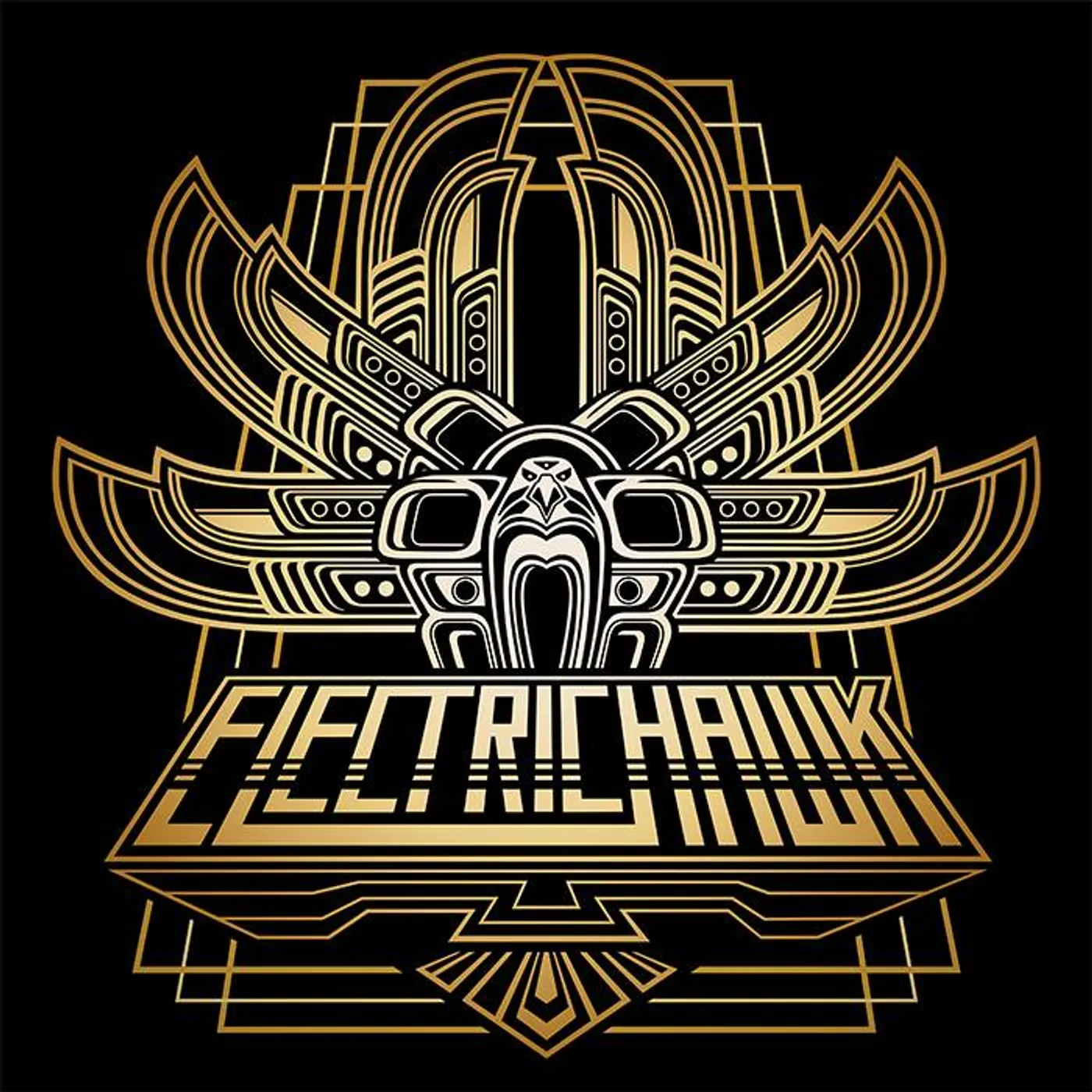 Electric Hawk II Vinyl Record